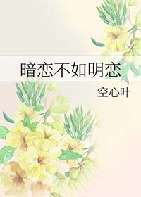 暗恋不成功的小说