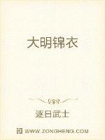大明锦衣录