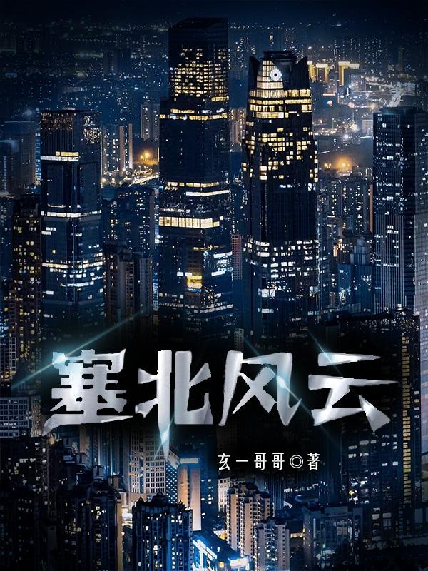 塞北风云小说简介