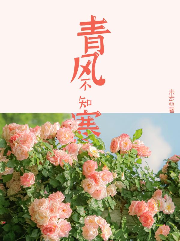 青风美食