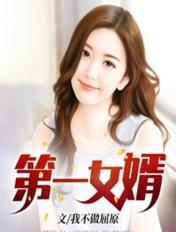 第一女婿陈风与叶清清免费阅读