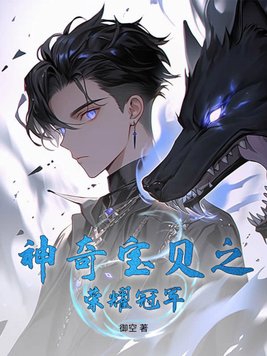 神奇宝贝之冠军小说