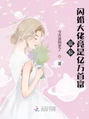 闪婚大佬甜蜜宠 小说