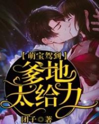 萌宝驾到爹地追妻超级甜2